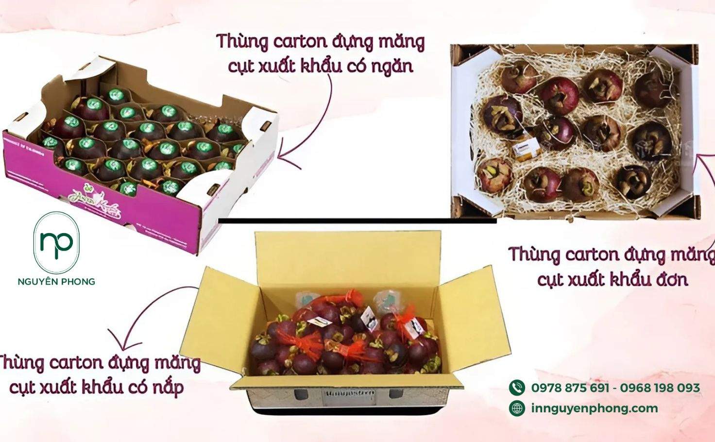 thùng carton đựng măng cụt